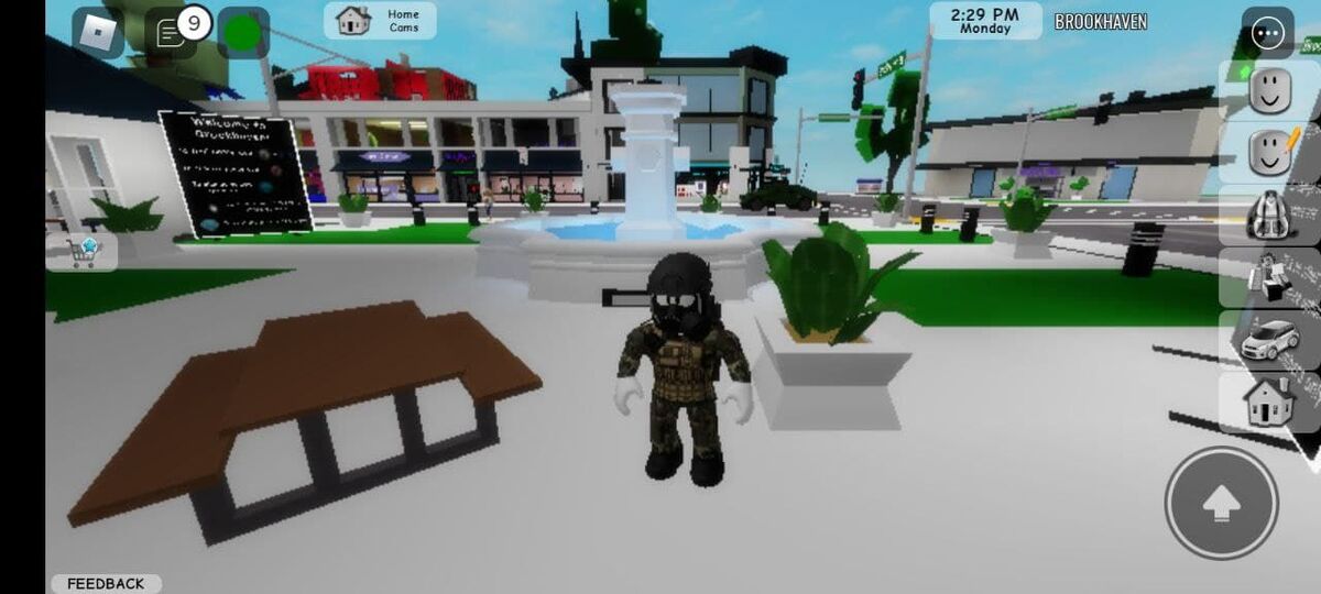 Brookhaven RP, Roblox Wiki