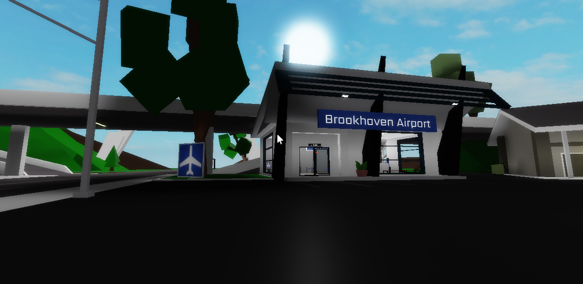 HOW TO FLY IN BROOKHAVEN! - (Roblox Brookhaven) 