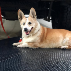 Stewart - 13 years old - August 17, 2018
