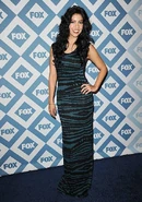 Fox All-Star Winter Party 2014