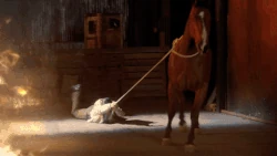 12 Venue.gif (5.97 MB)