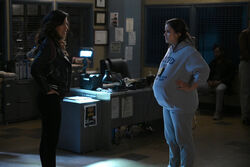This! 25+ Hidden Facts of Brooklyn Nine-Nine Season 7 Episode 8: While it’s hard to believe that b99 is coming to an end with its eighth season, it began to feel real when nbc released the first proper trailer for the. This! 25+ Hidden Facts of Brooklyn Nine-Nine Season 7 Episode 8: While it’s hard to believe that b99 is coming to an end with its eighth season, it began to feel real when nbc released the first proper trailer for the.