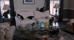 Apt No 1 Cats.jpg (138 KB) The apartment