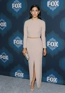 Fox Winter All-Star Party 2015