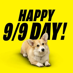 9-9 Day Cheddar.png (199 KB)