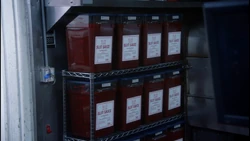 Wing Slutz 19.jpg (679 KB)