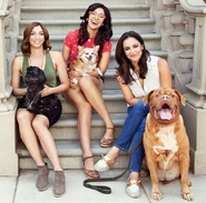 The Hollywood Reporter Hollywood Animal Lovers Pose With Their Adorable Adopted Pets
