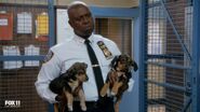 Captain Holt admonishing the squad for hiding from Boyle while holding two puppies