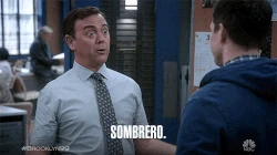 Therapist - Sombrero.gif (987 KB)