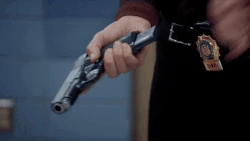 8 Favor.gif (4.47 MB)