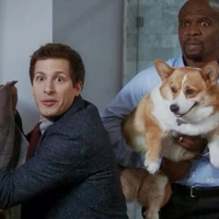 The Party Brooklyn Nine Nine Wiki Fandom