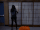 10 Honor.gif