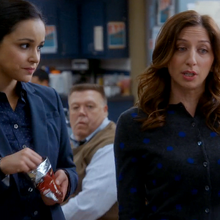 Amy Santiago Brooklyn Nine Nine Wiki Fandom Amy Santiago Brooklyn Nine Nine Wiki Fandom
