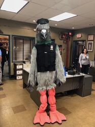 Paulie the Pigeon