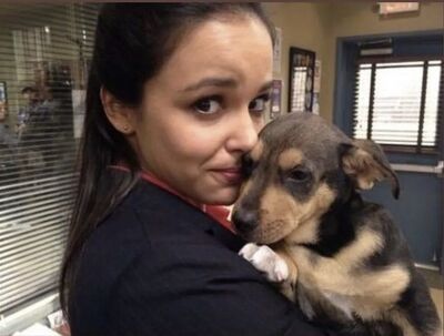 BTS Melissa Puppy
