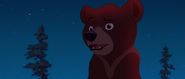 Brother-bear-disneyscreencaps.com-5125