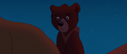 Brother-bear-disneyscreencaps.com-5164