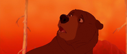 Brother-bear-disneyscreencaps.com-6156