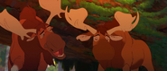 Brother-bear-disneyscreencaps.com-3495