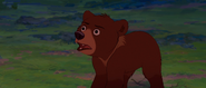 Brother-bear-disneyscreencaps.com-6504