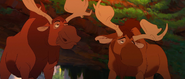 Brother-bear-disneyscreencaps.com-3485