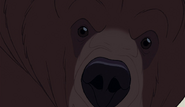 Brother-bear-disneyscreencaps.com-2242