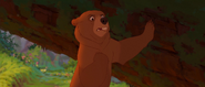 Brother-bear-disneyscreencaps.com-3360