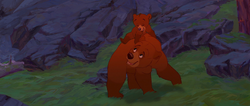 Brother-bear-disneyscreencaps.com-5852