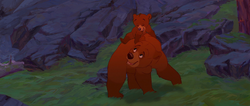 Brother-bear-disneyscreencaps