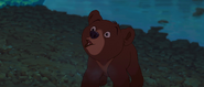 Brother-bear-disneyscreencaps.com-4168