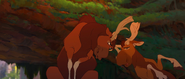 Brother-bear-disneyscreencaps.com-3279