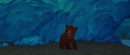 Brother-bear-disneyscreencaps.com-4086