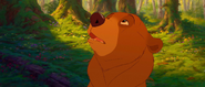 Brother-bear-disneyscreencaps.com-3087