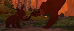 Brother-bear-disneyscreencaps