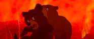 Brother-bear-disneyscreencaps.com-6274