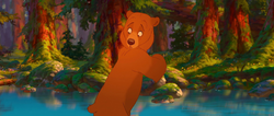 Brother-bear-disneyscreencaps