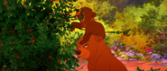 Brother-bear-disneyscreencaps.com-4673