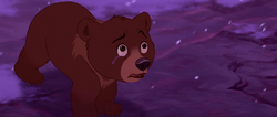 Brother-bear-disneyscreencaps