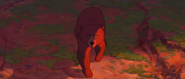 Brother-bear-disneyscreencaps.com-5723