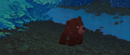 Brother-bear-disneyscreencaps.com-4106