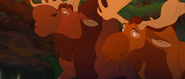 Brother-bear-disneyscreencaps.com-3309