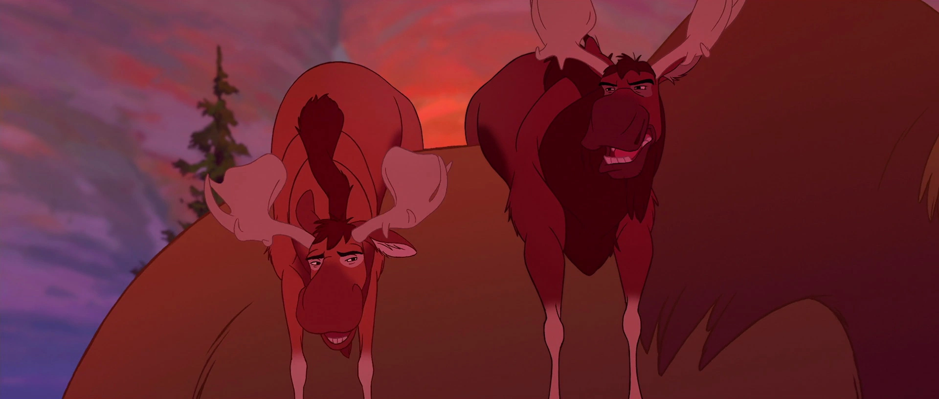 Brother Bear Moose Moon