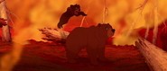 Brother-bear-disneyscreencaps.com-6069