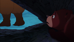 Brother-bear2-disneyscreencaps