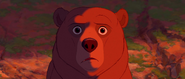 Brother-bear-disneyscreencaps.com-5732