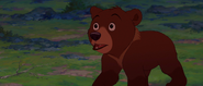 Brother-bear-disneyscreencaps.com-6484