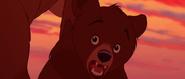 Brother-bear-disneyscreencaps.com-6256