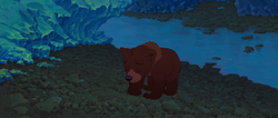 Brother-bear-disneyscreencaps