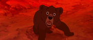 Brother-bear-disneyscreencaps.com-6143