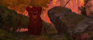 Brother-bear-disneyscreencaps.com-3766